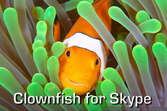 Clownfish для Skype